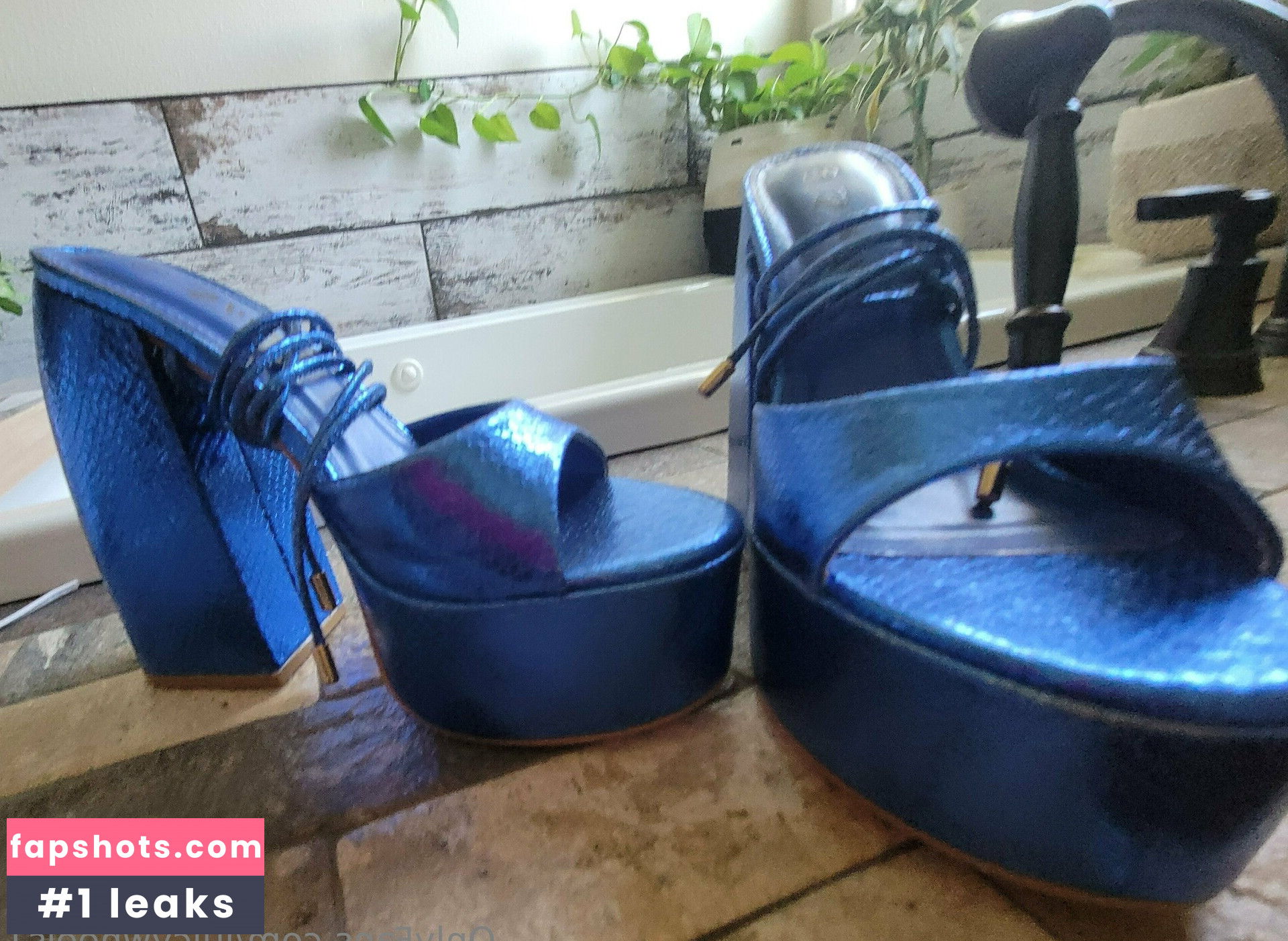 juicywheels1 gallery photo #40