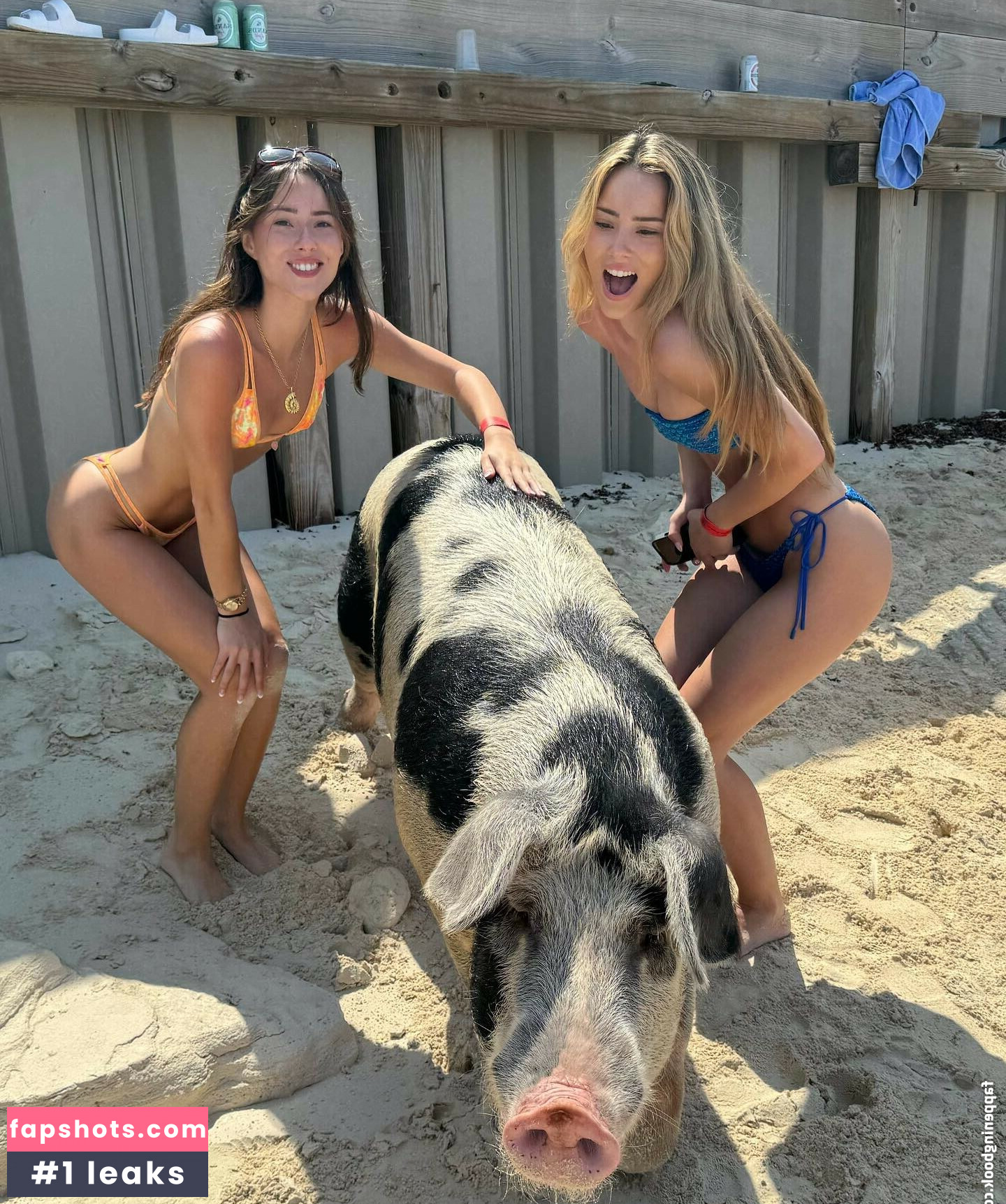 Julia Ernst Nude Leaks OnlyFans Photos #102 - LeakJerk