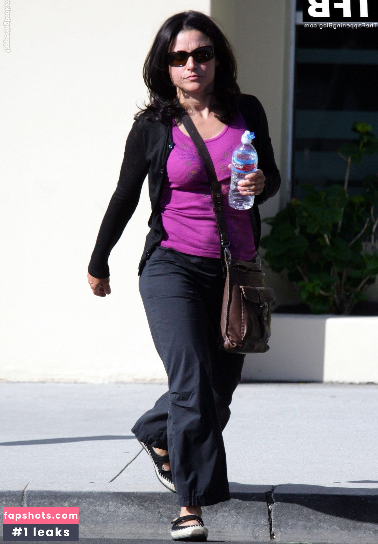 Julia Louis-Dreyfus Nahé úniky fotek pouze od fanoušků #24 - Fapshots