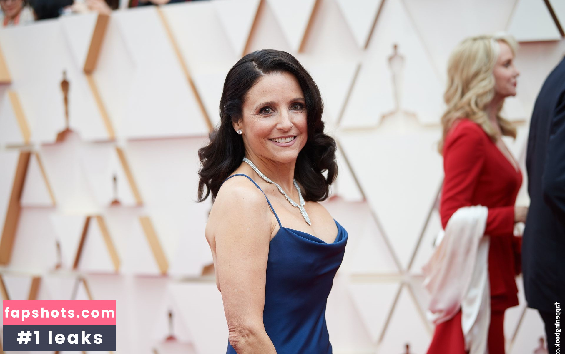 Julia Louis-Dreyfus Nahé úniky fotek pouze od fanoušků #28 - Fapshots