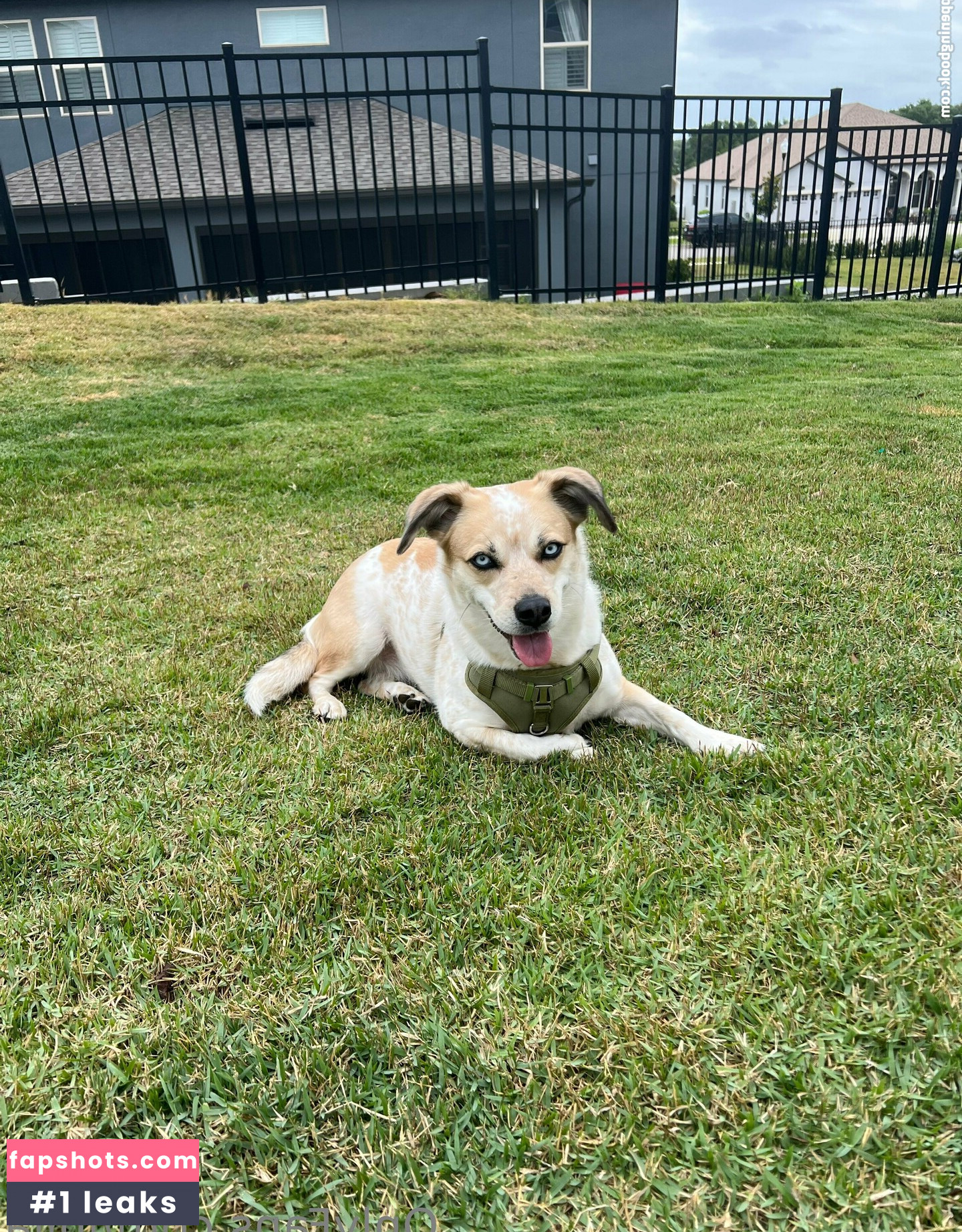 Julia Nahé úniky fotek pouze od fanoušků #22 - Fapshots