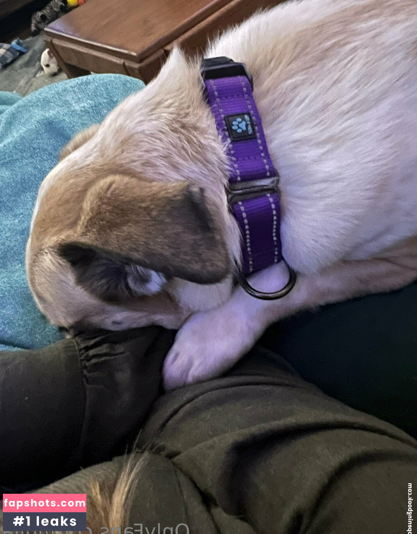 Julia gallery photo #29