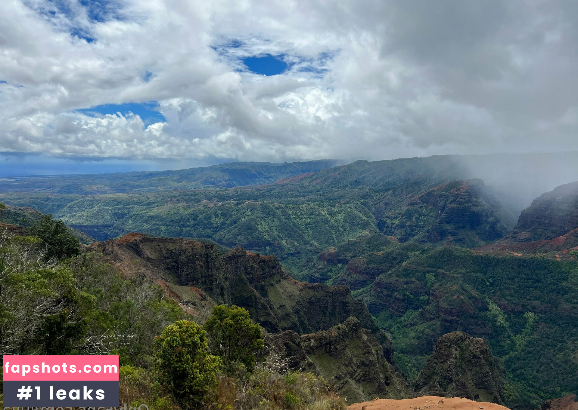 Julia gallery photo #30