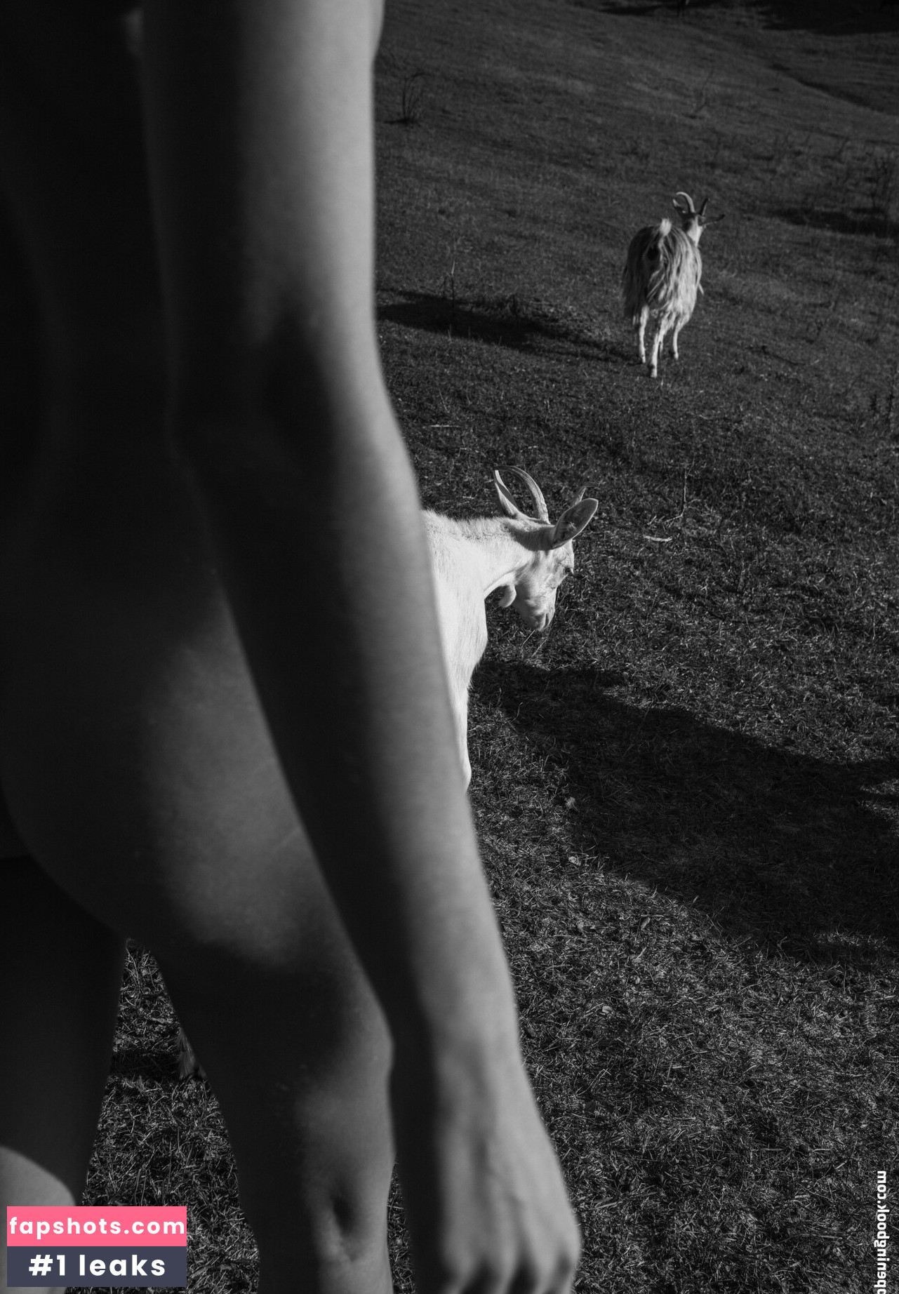 Julia Slip gallery photo #55