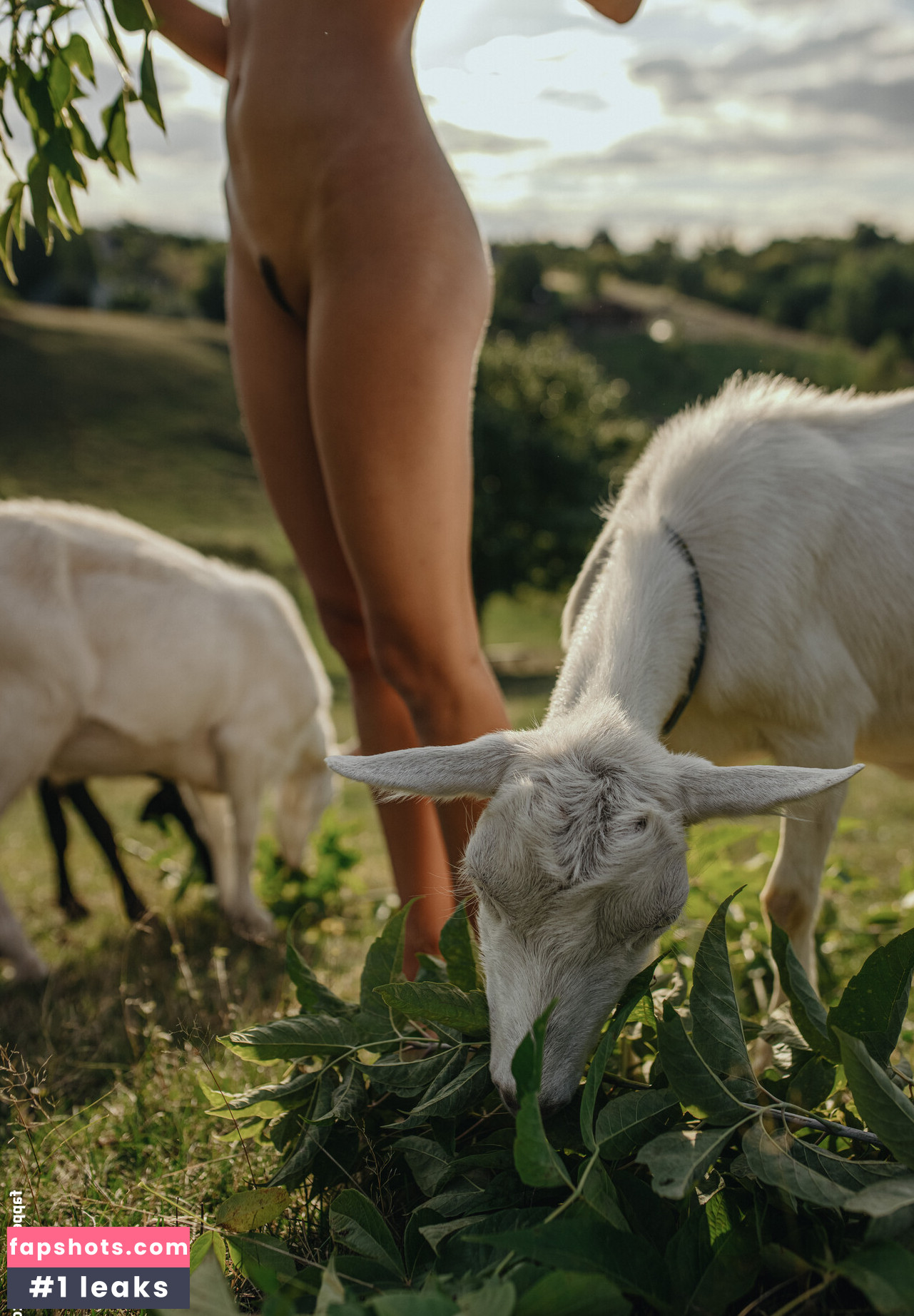 Julia Slip gallery photo #67