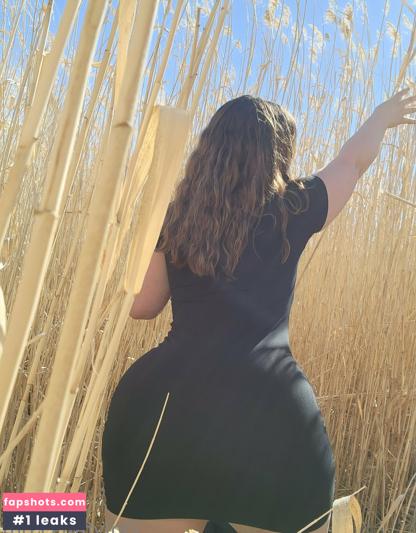 justgyp gallery photo #18