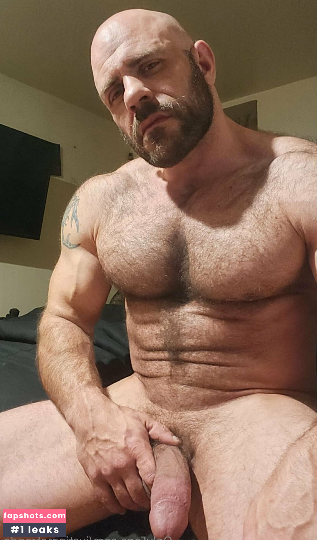 justinmetrando gallery photo #2