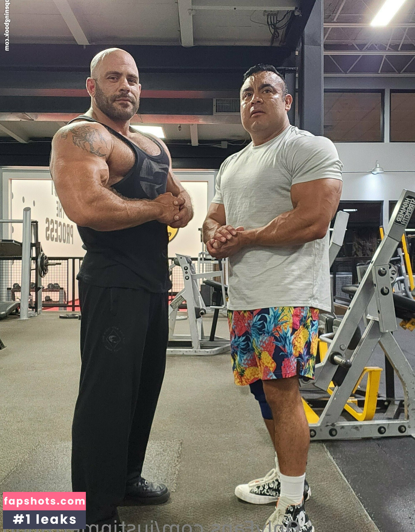 justinmetrando gallery photo #40