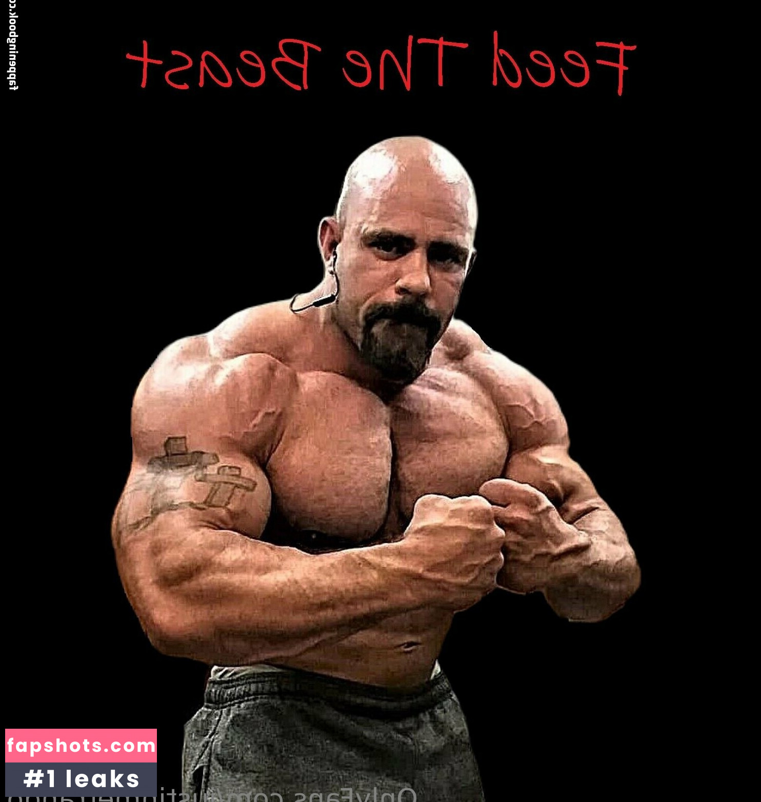 justinmetrando gallery photo #7