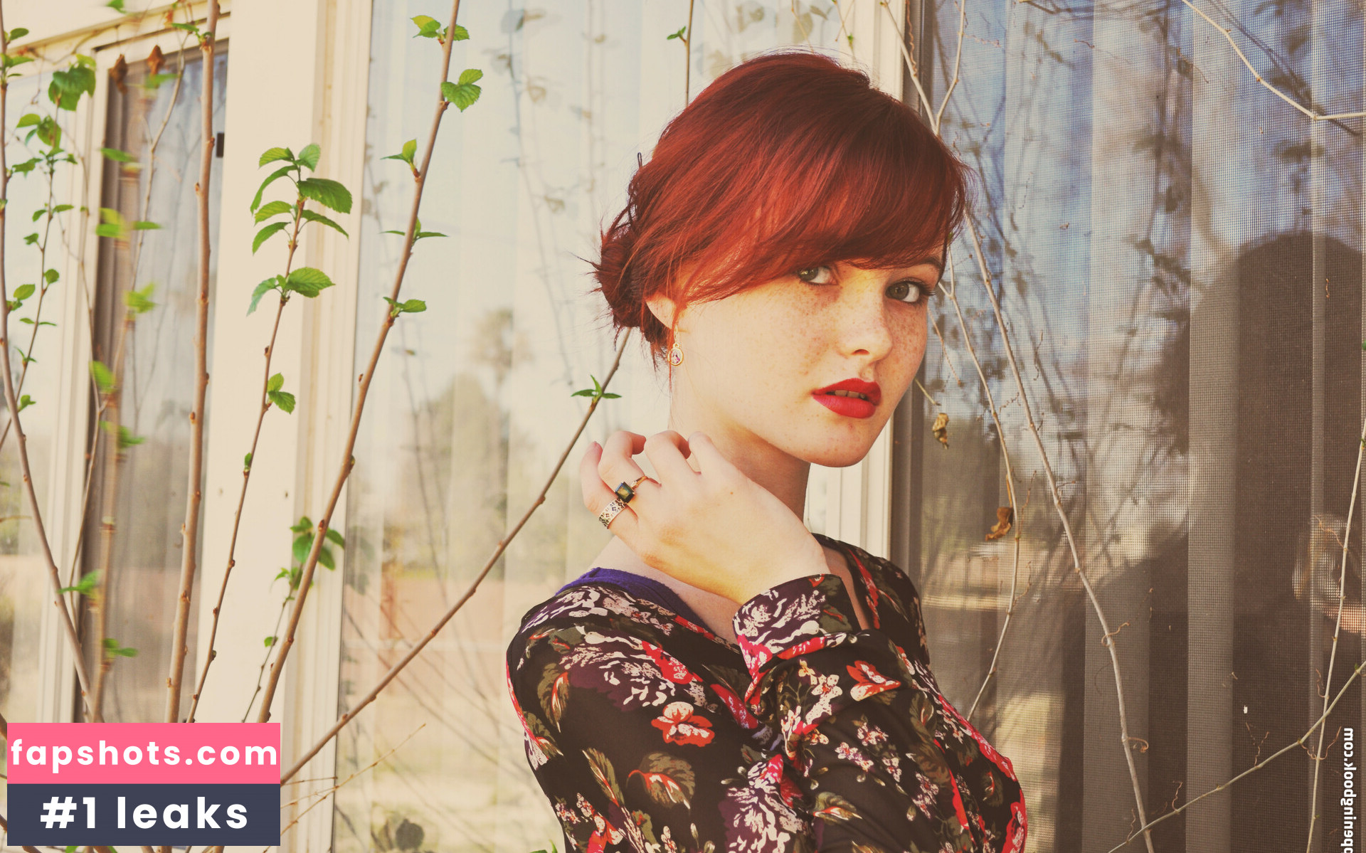 Kacy Anne Hill gallery photo #5