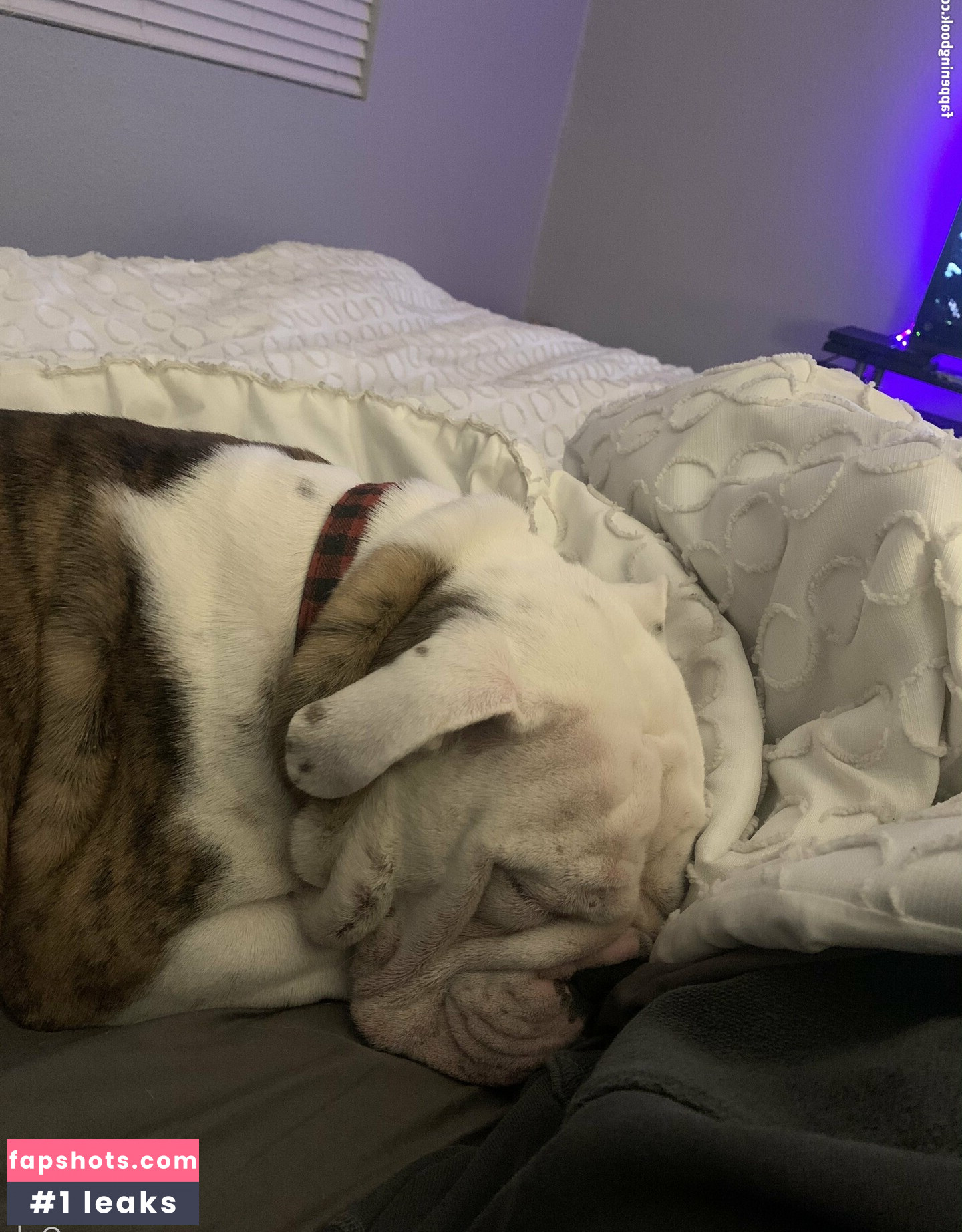 kaitimackenzie Nacktheit OnlyFans Fotos #20 - Fapshots