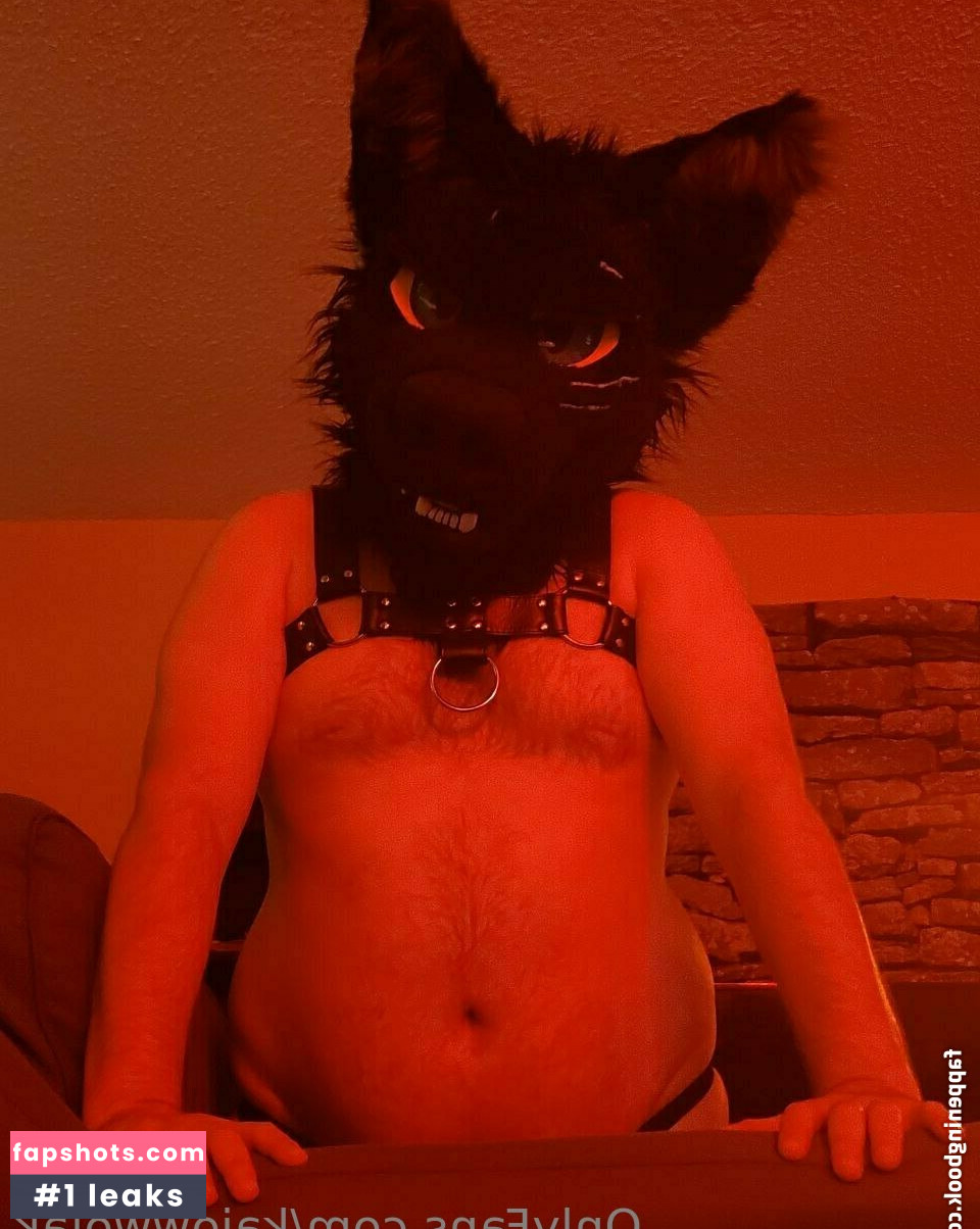 kajowwojak gallery photo #18