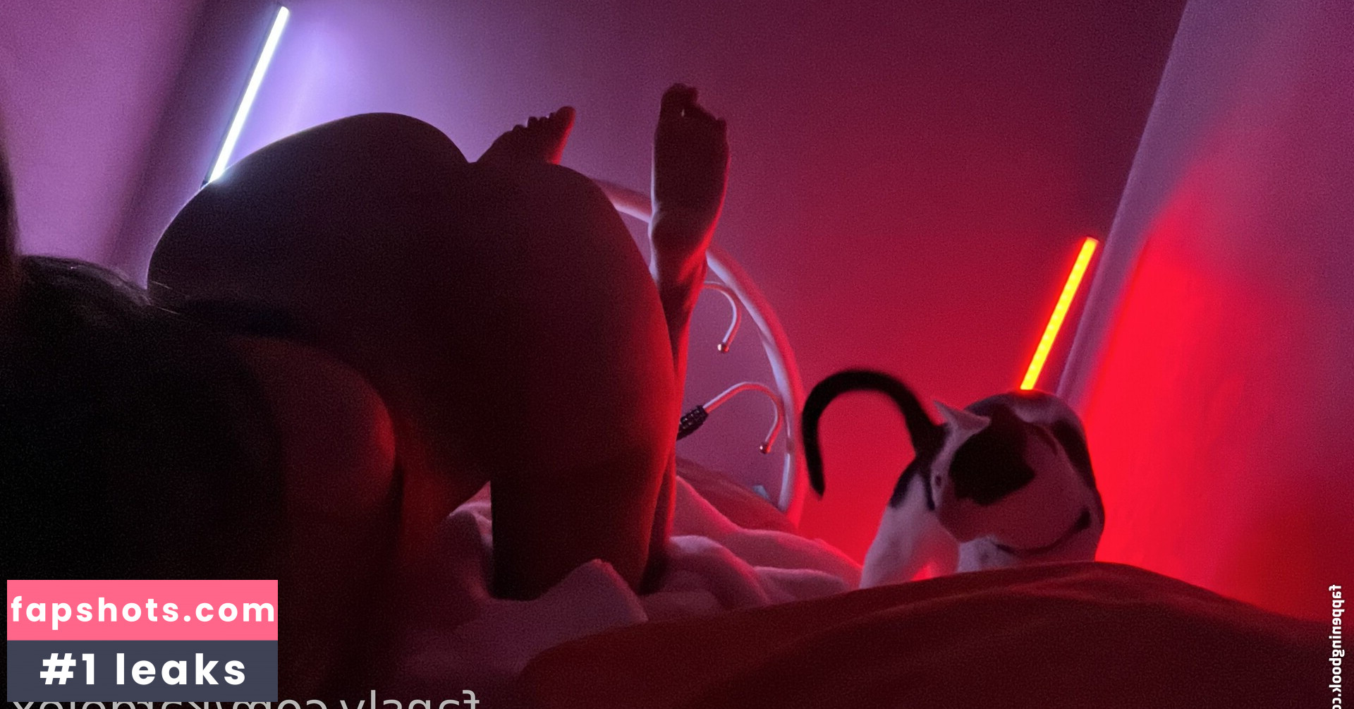 kardelex gallery photo #3