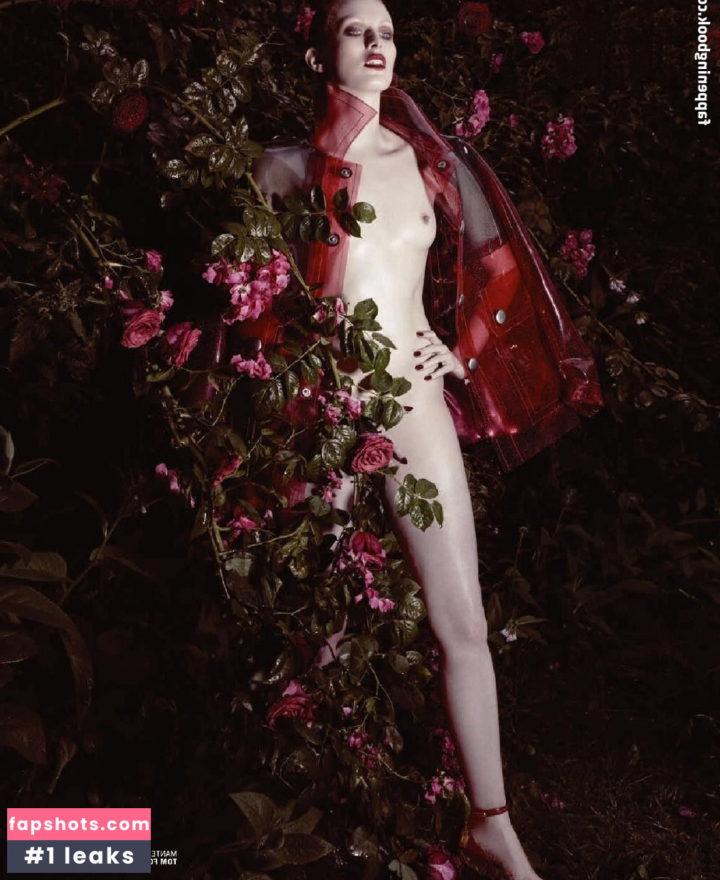 Karen Elson gallery photo #15