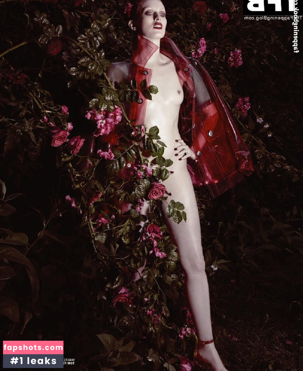 Karen Elson gallery photo #41