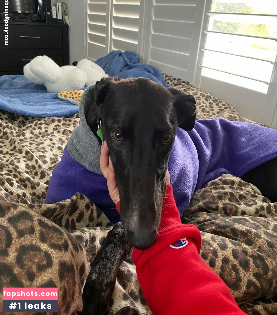 karley_anne_ Nacktheit OnlyFans Fotos #24 - Fapshots