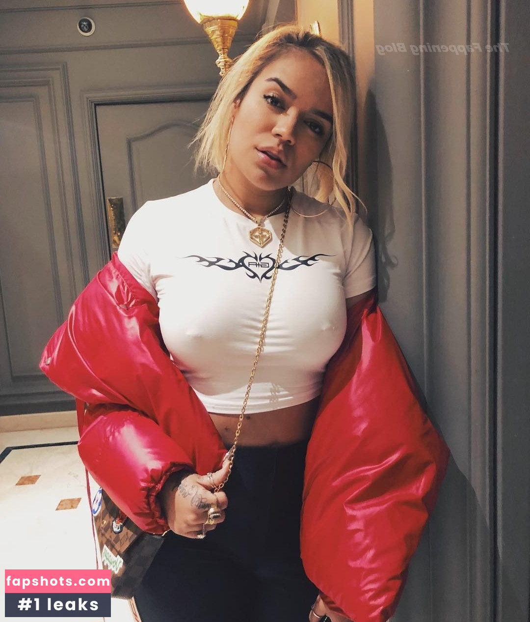 KAROL G Nacktheit OnlyFans Fotos #410 - Fapshots