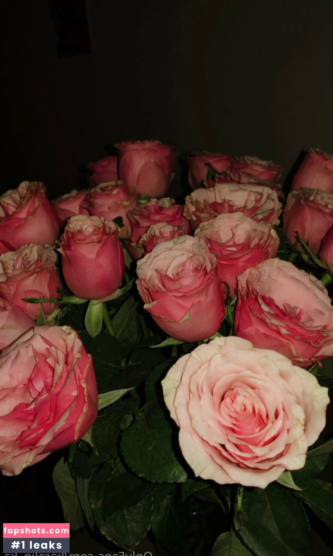 karolin_ka Nahé úniky fotek pouze od fanoušků #17 - Fapshots