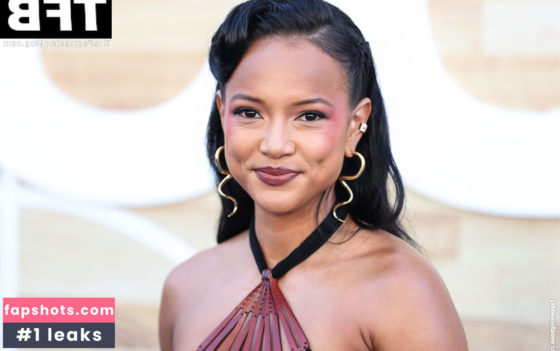 Karrueche Tran Nahé úniky fotek pouze od fanoušků #503 - Fapshots