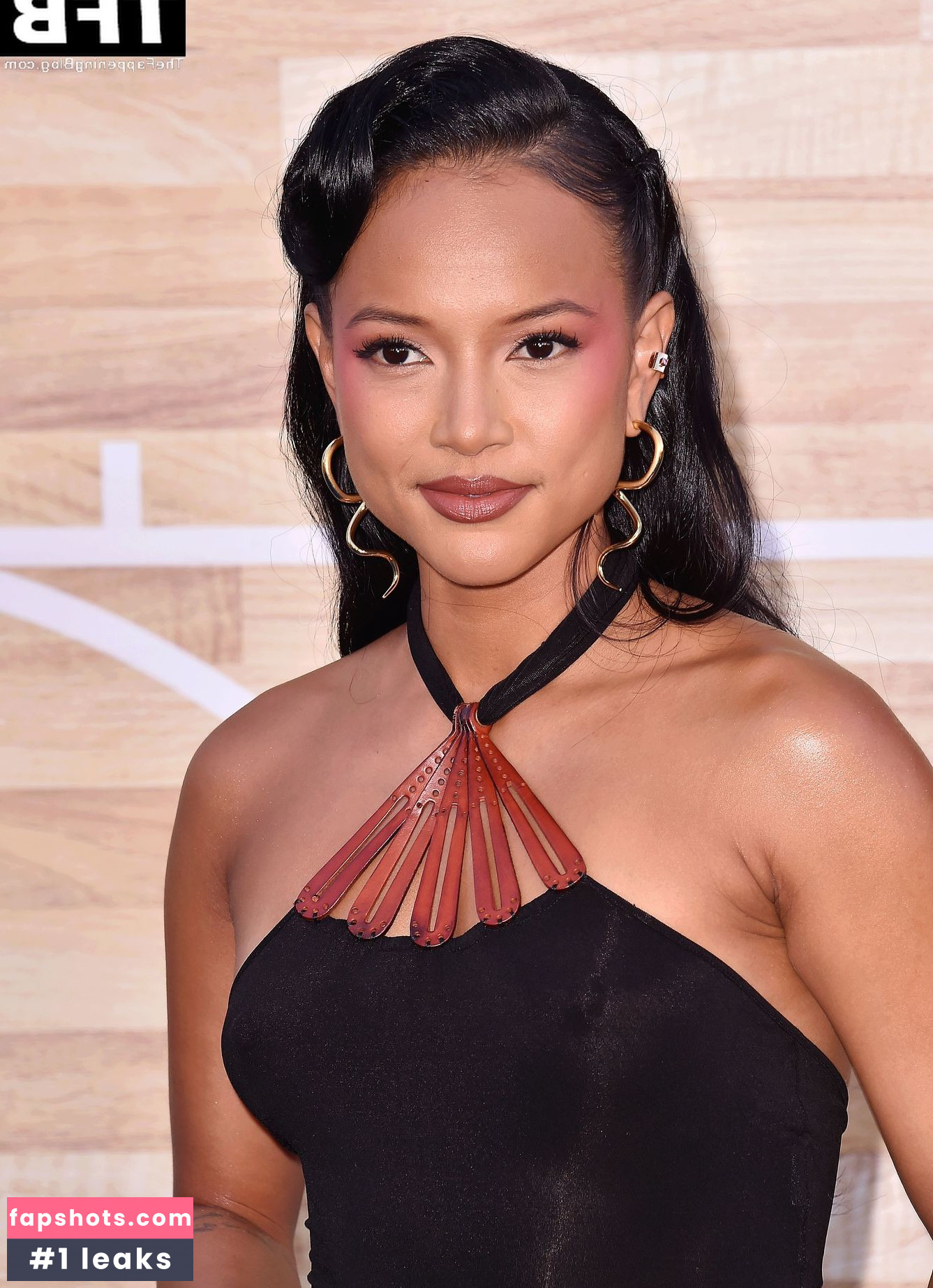 Karrueche Tran Nahé úniky fotek pouze od fanoušků #515 - Fapshots