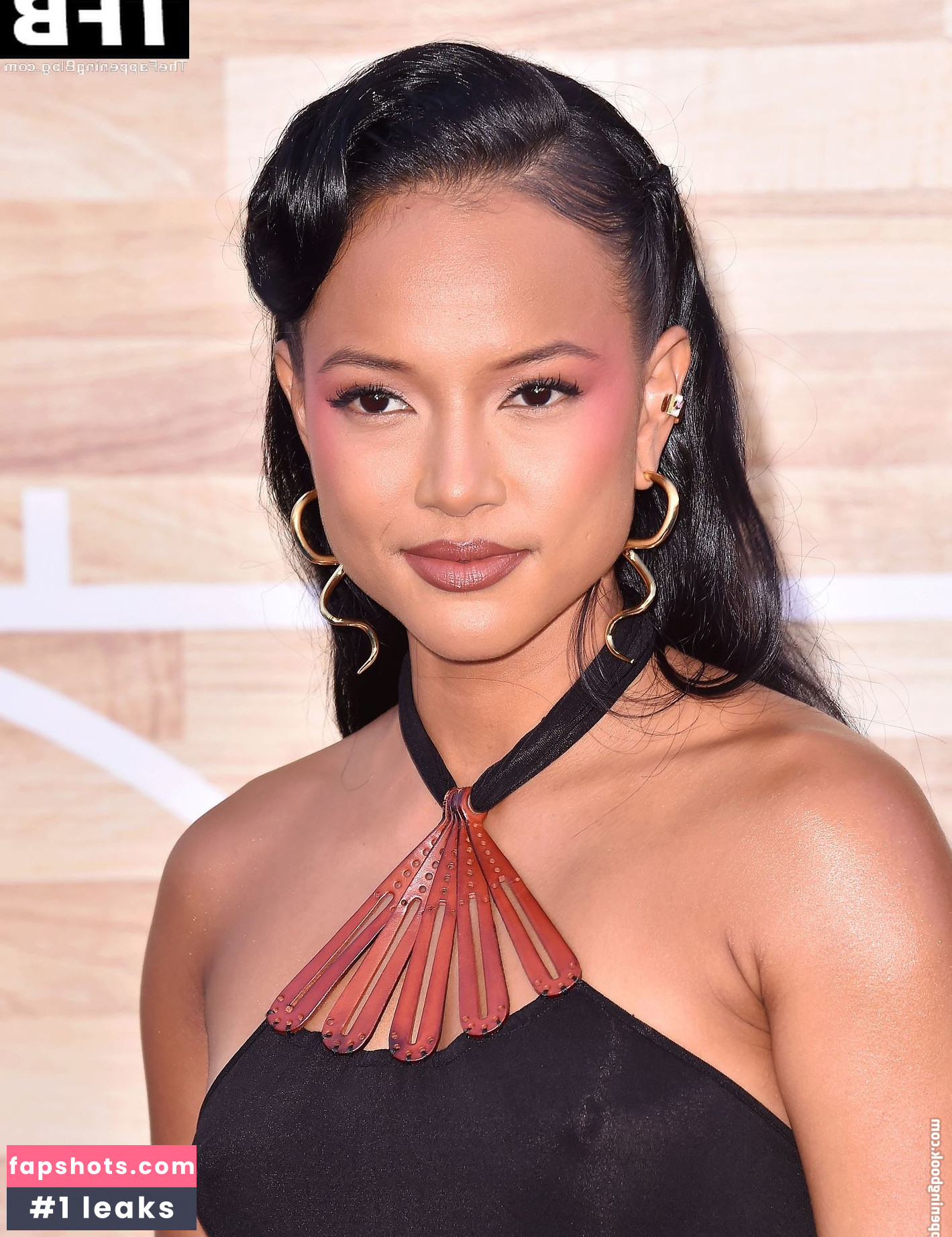 Karrueche Tran Nahé úniky fotek pouze od fanoušků #516 - Fapshots
