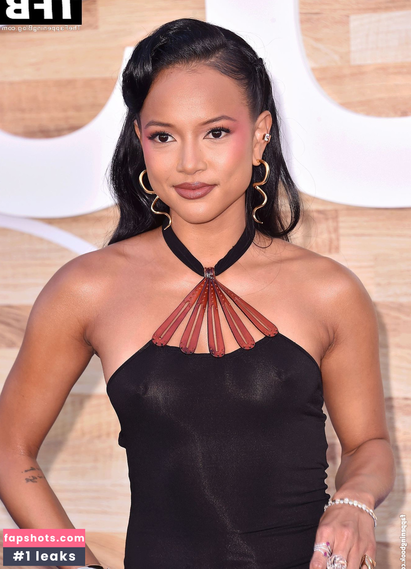 Karrueche Tran Nahé úniky fotek pouze od fanoušků #518 - Fapshots