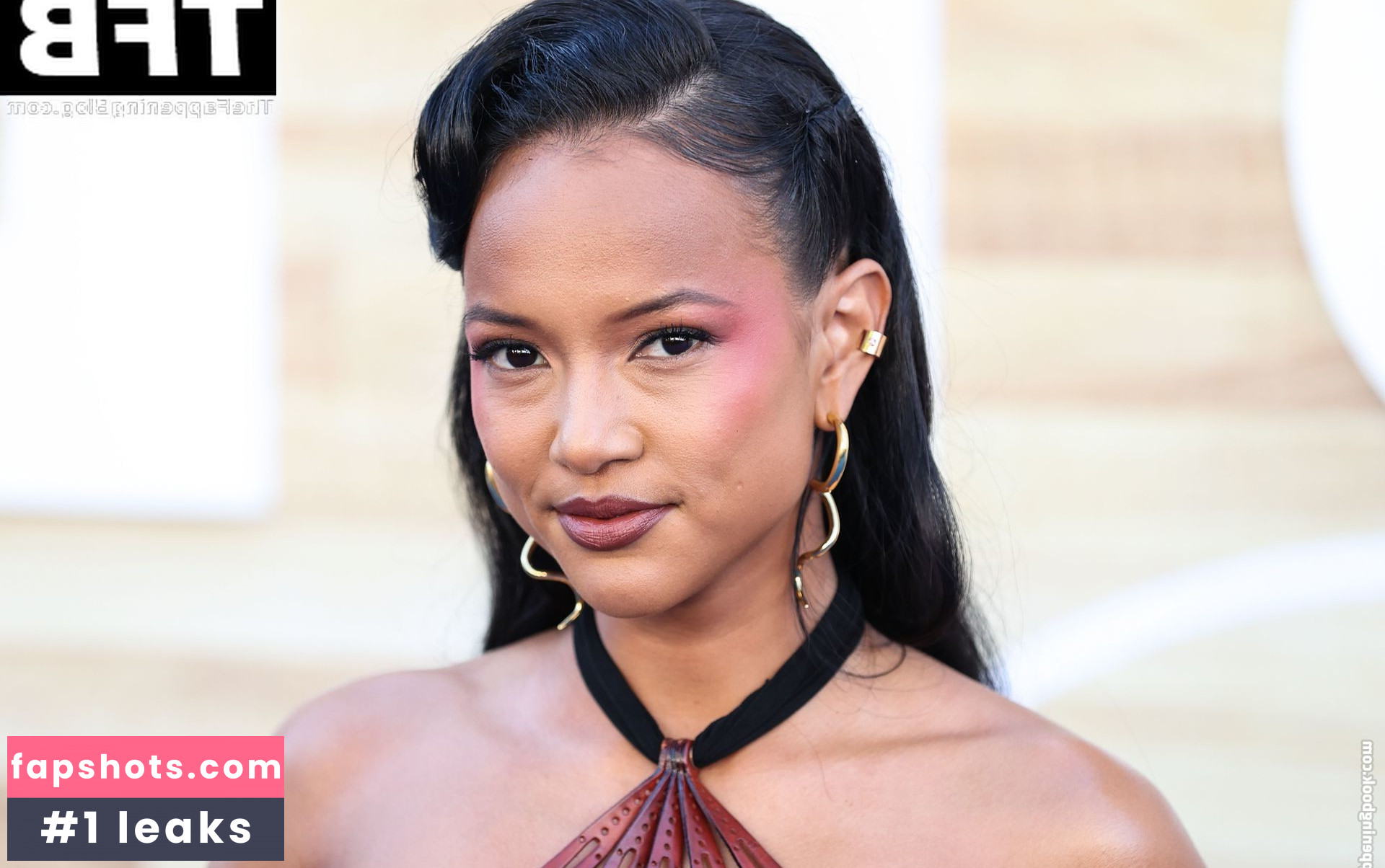Karrueche Tran Nahé úniky fotek pouze od fanoušků #529 - Fapshots