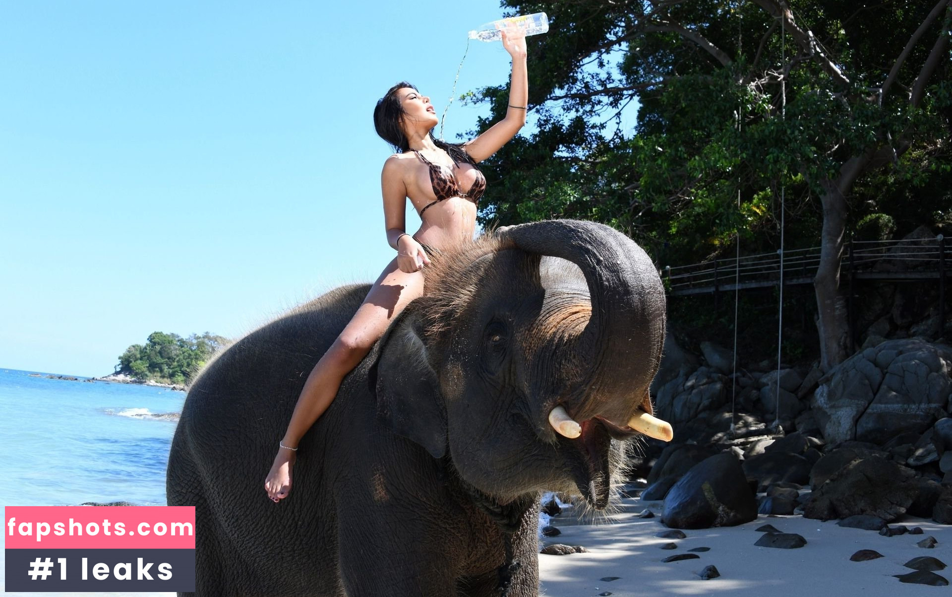 Kasa Suda nude babe gallery