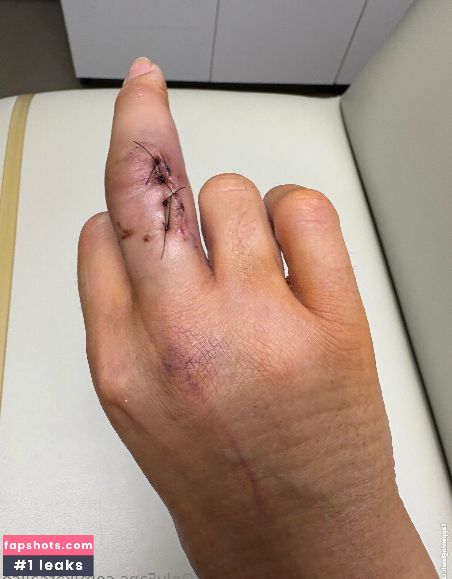 katcalico gallery photo #2