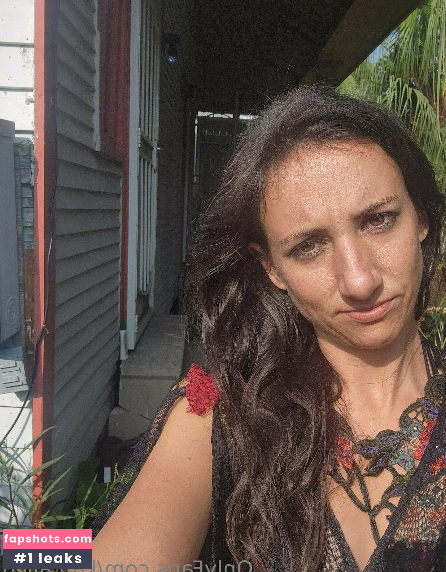 katcalico gallery photo #18