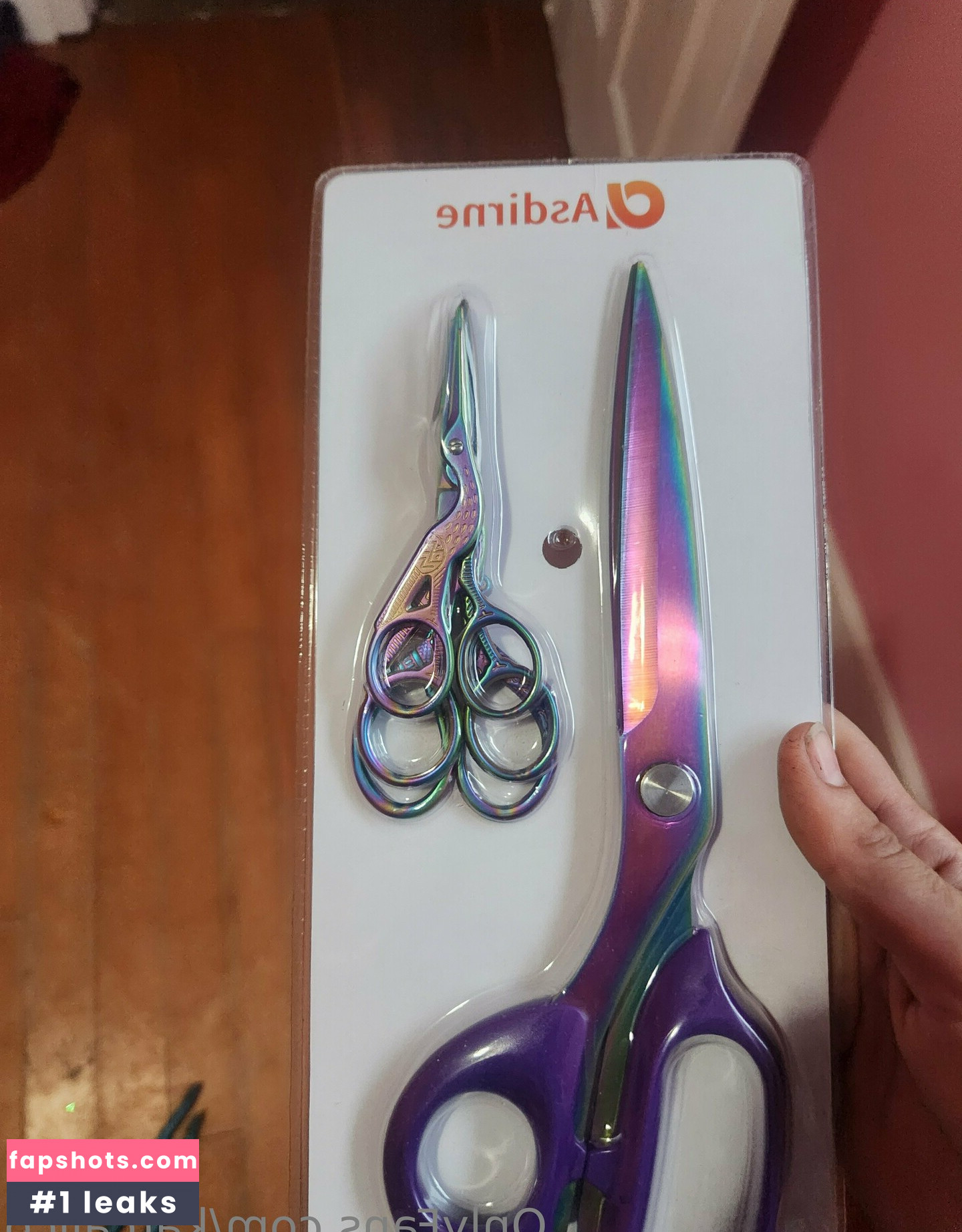 katcalico gallery photo #21