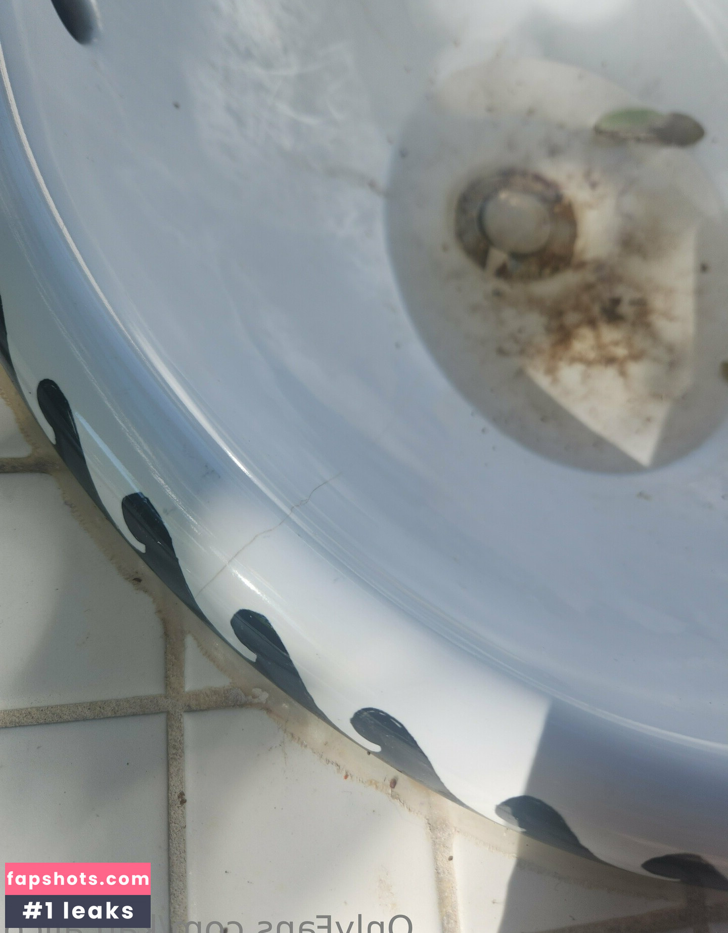 katcalico gallery photo #24