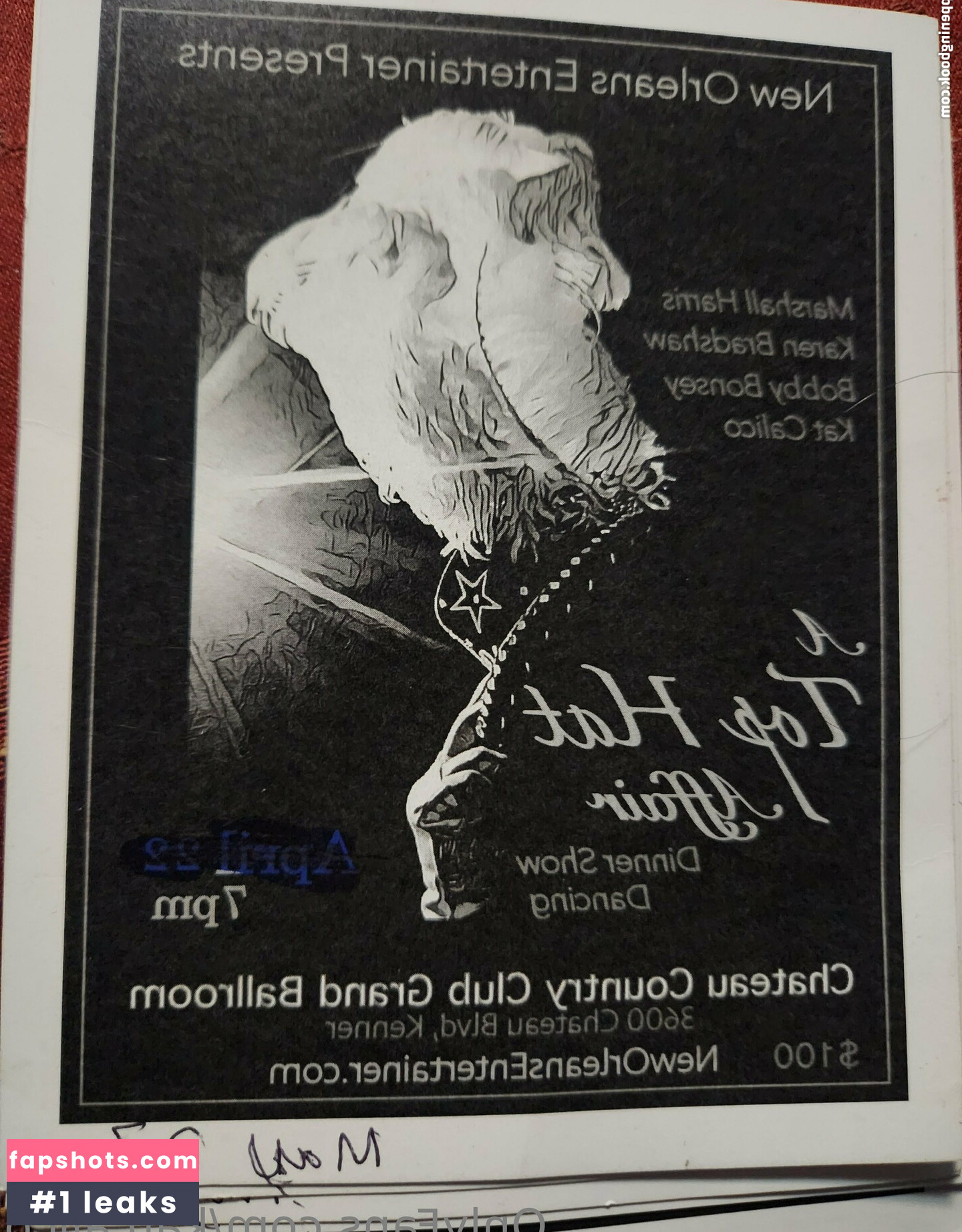 katcalico gallery photo #26