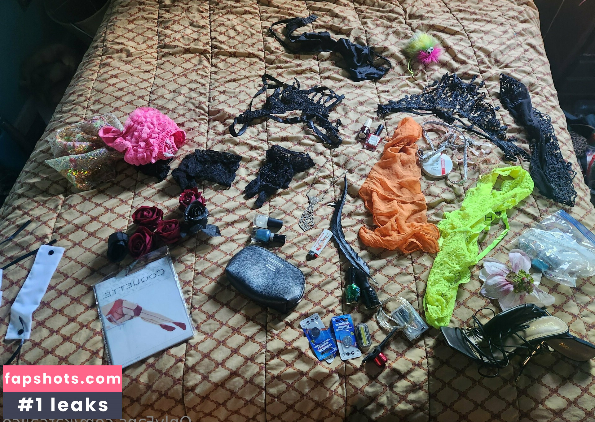 katcalico gallery photo #28