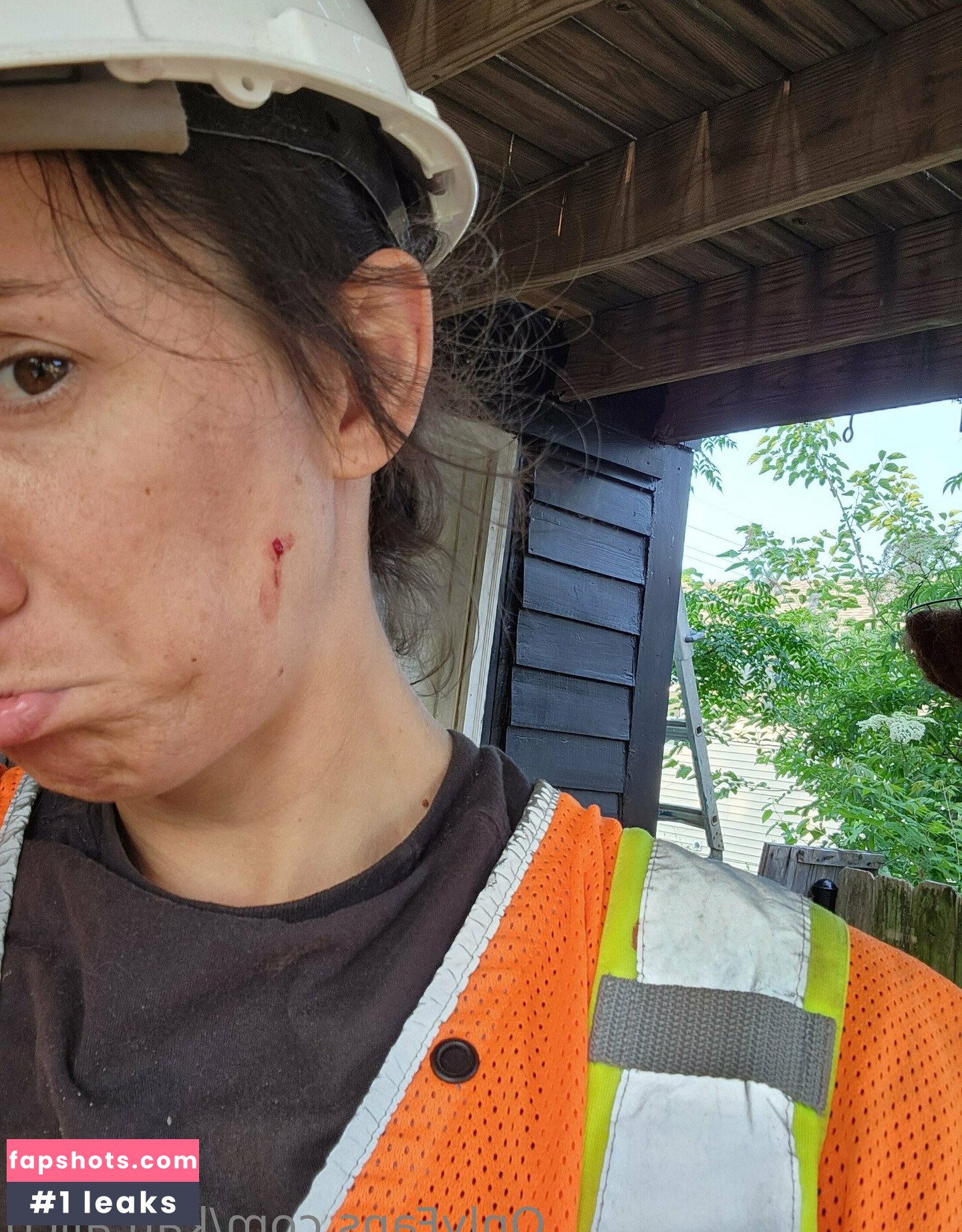 katcalico gallery photo #30