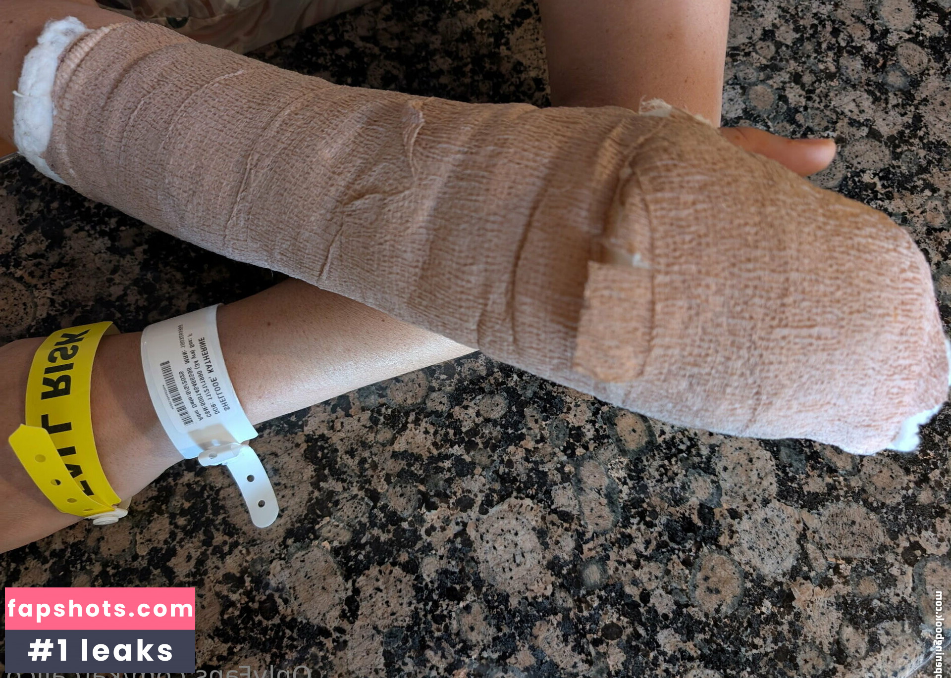 katcalico gallery photo #4