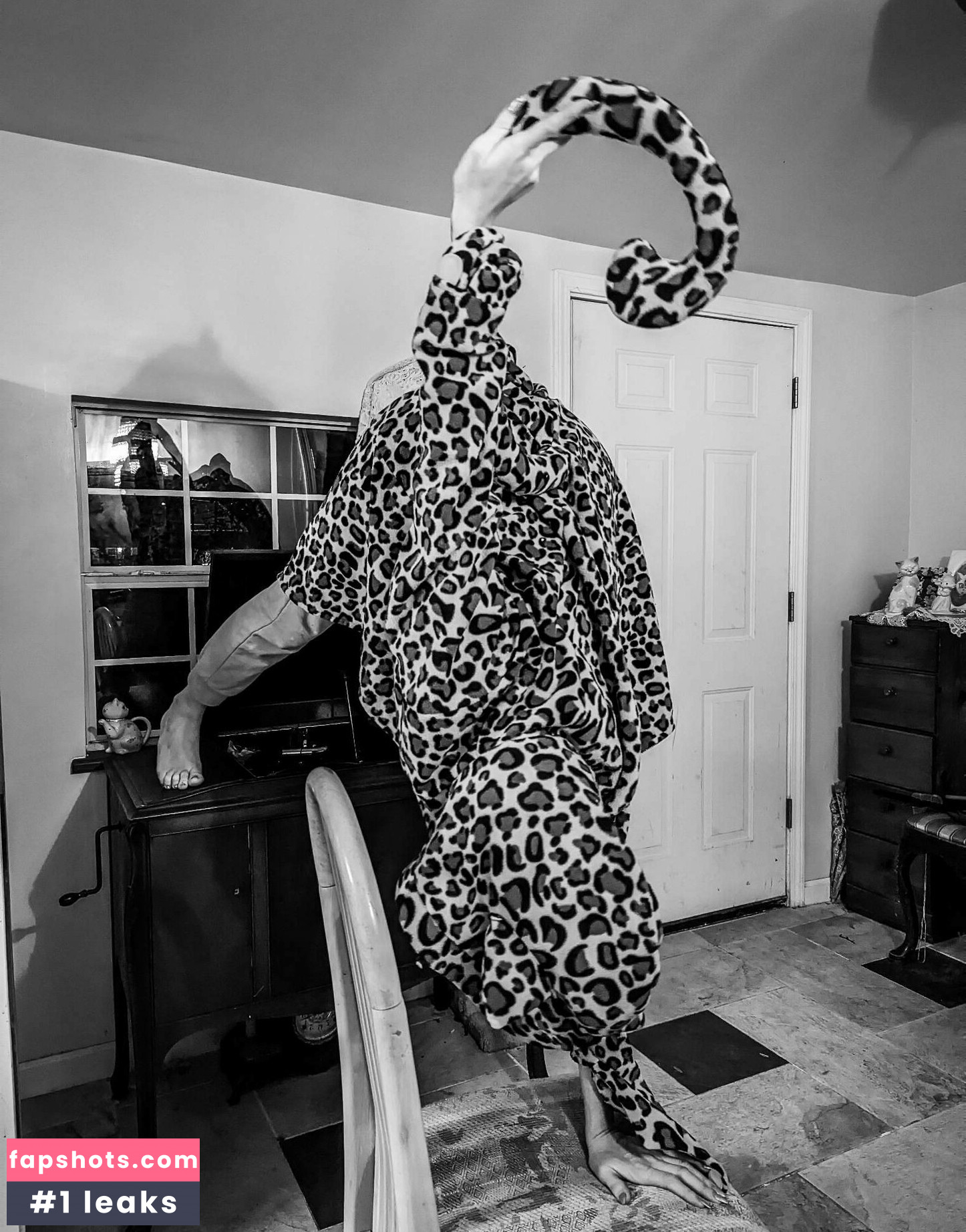 katcalico gallery photo #31