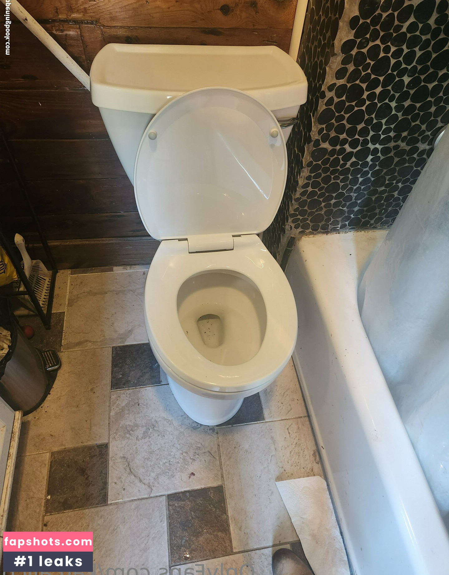 katcalico nude babe gallery