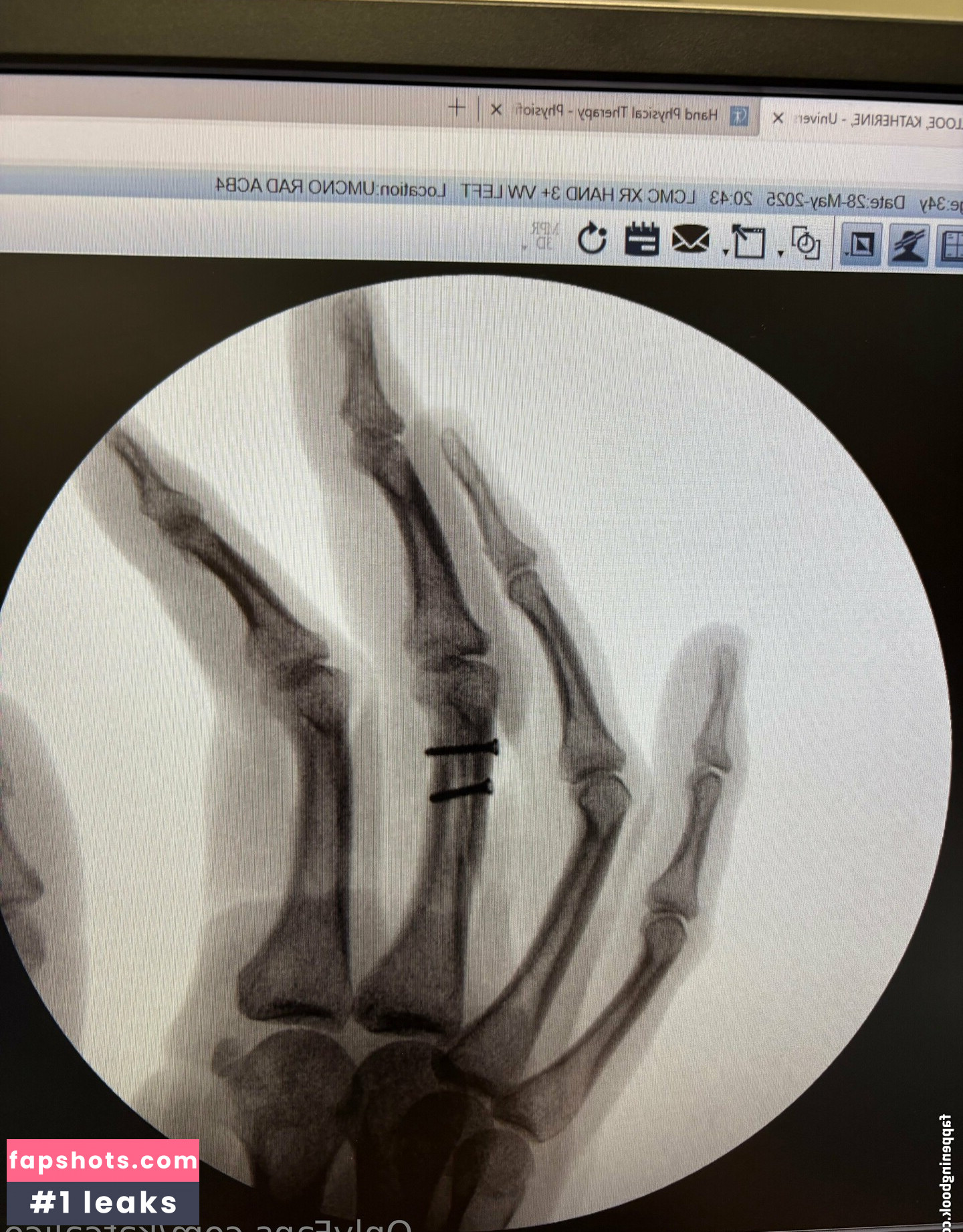 katcalico gallery photo #5