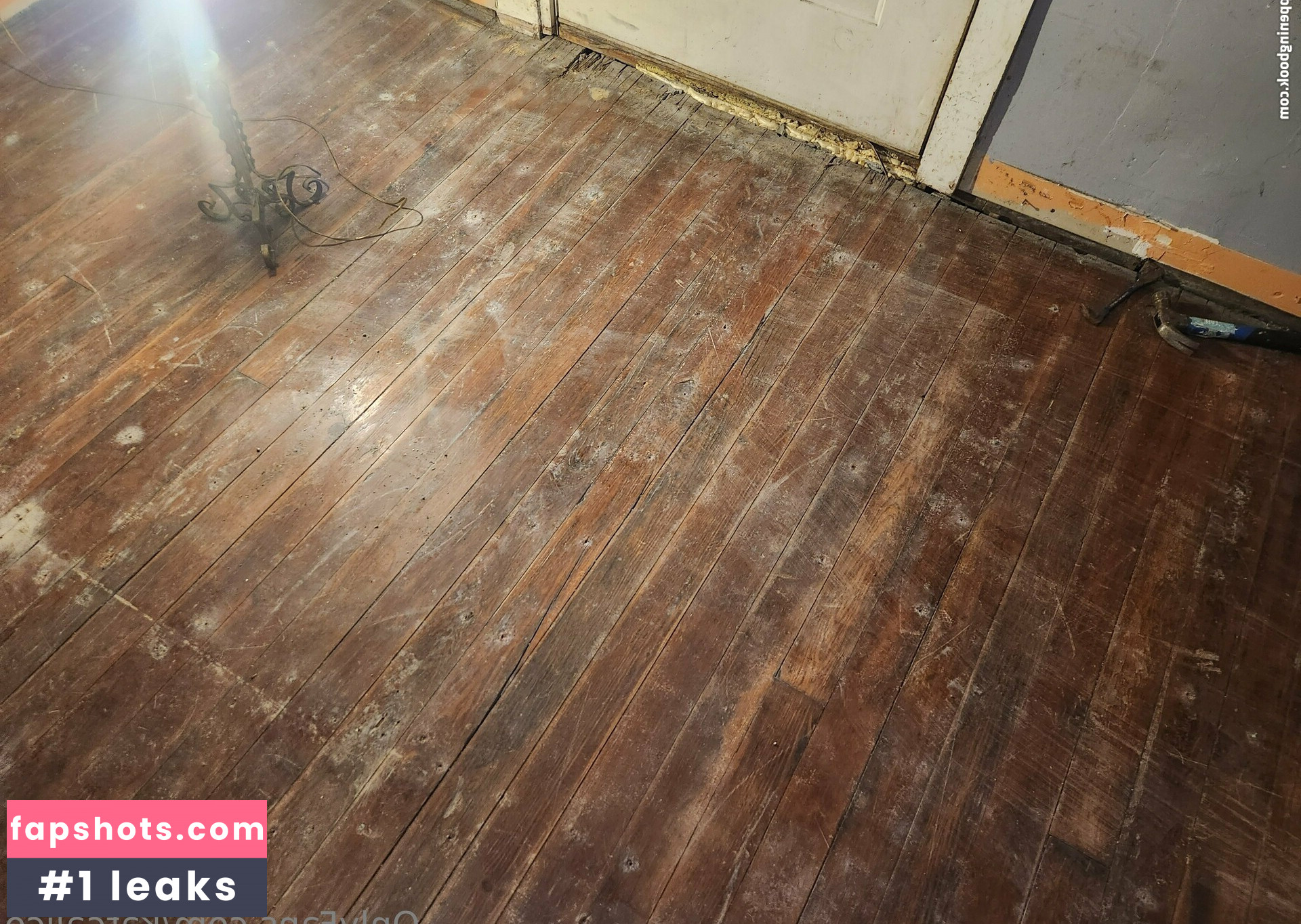 katcalico gallery photo #6