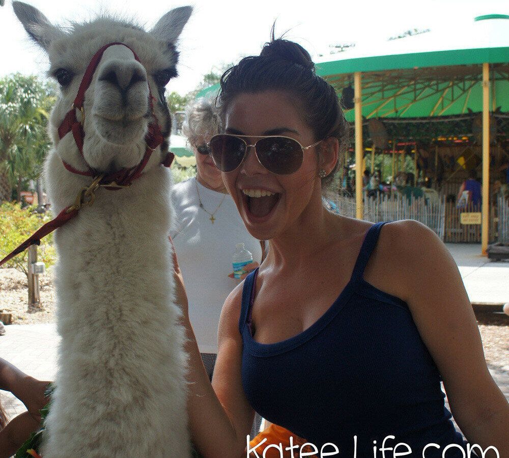 kateelife gallery photo #984