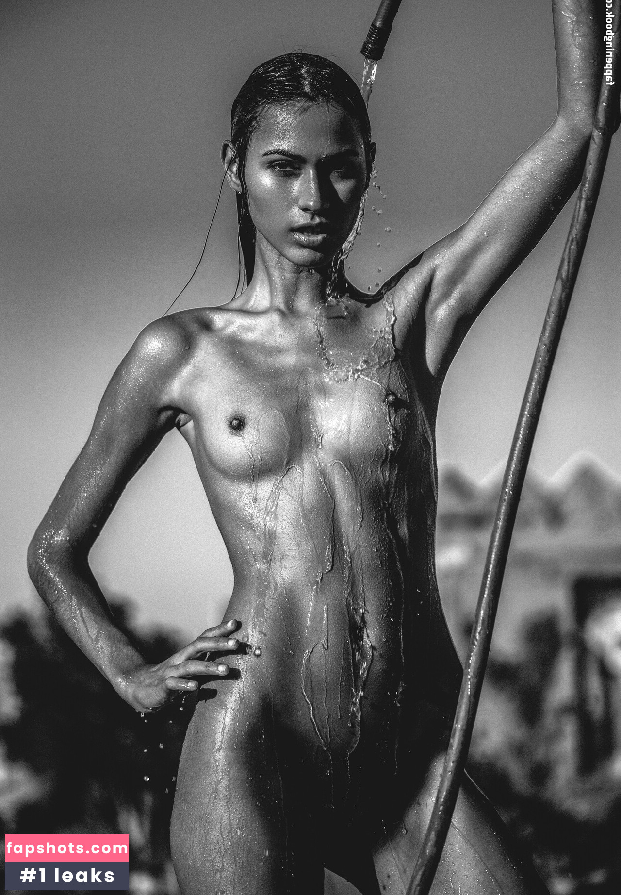 Katherine LaPrell gallery photo #7