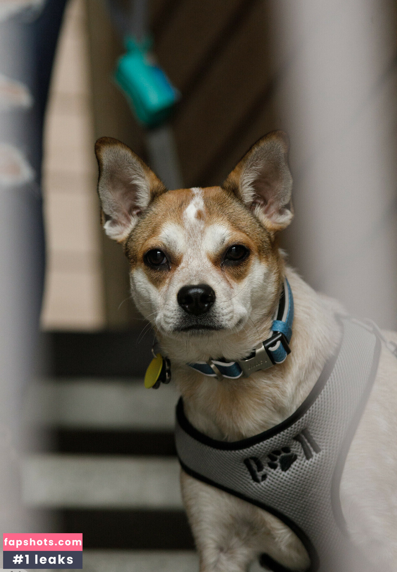 Katie Darling nude babe gallery