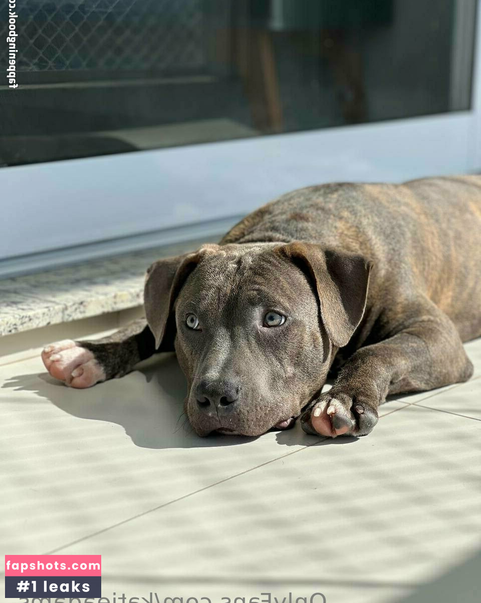 katieadams_ gallery photo #22