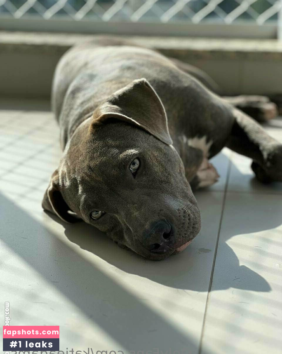 katieadams_ gallery photo #8