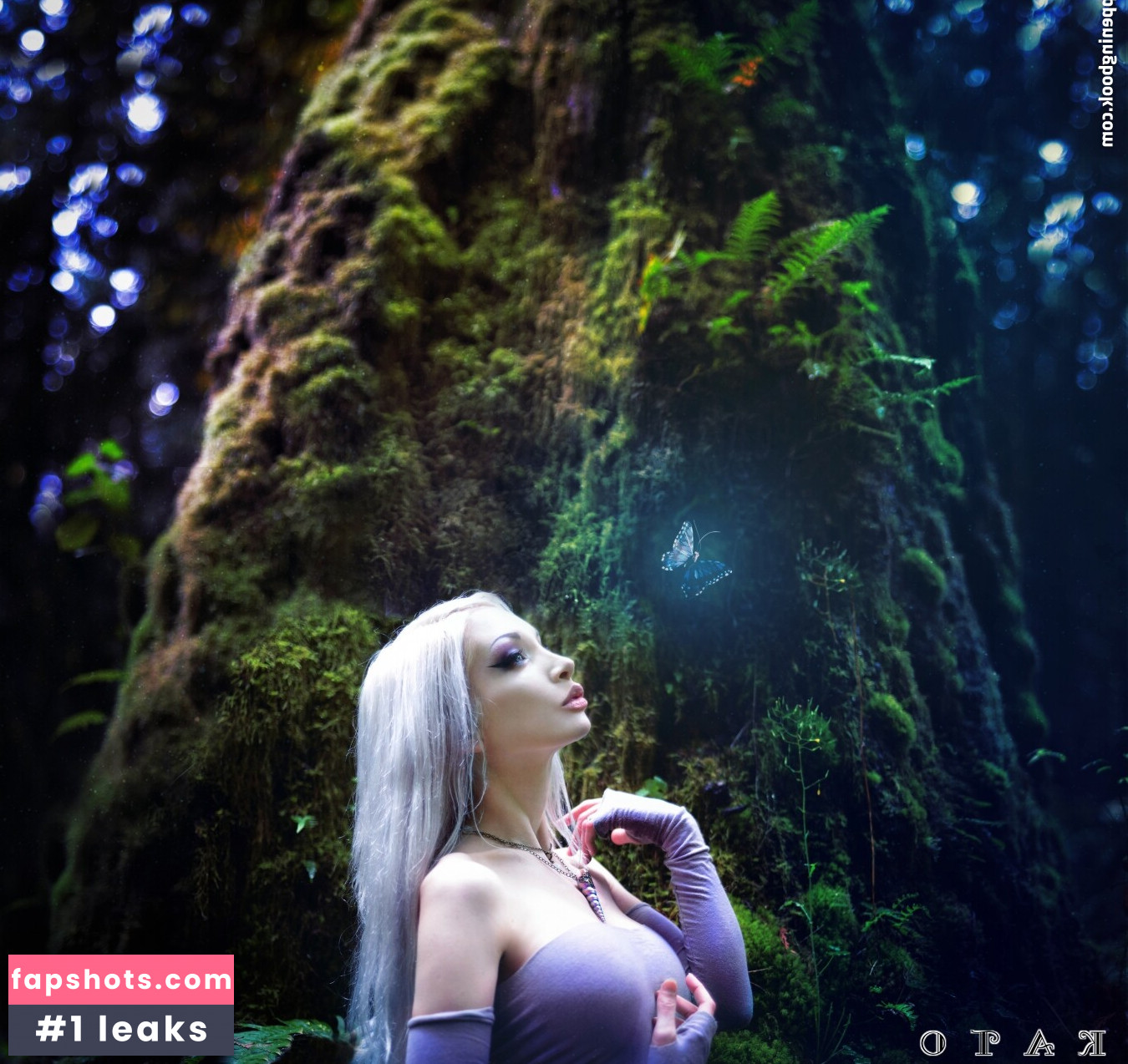 Kato gallery photo #189