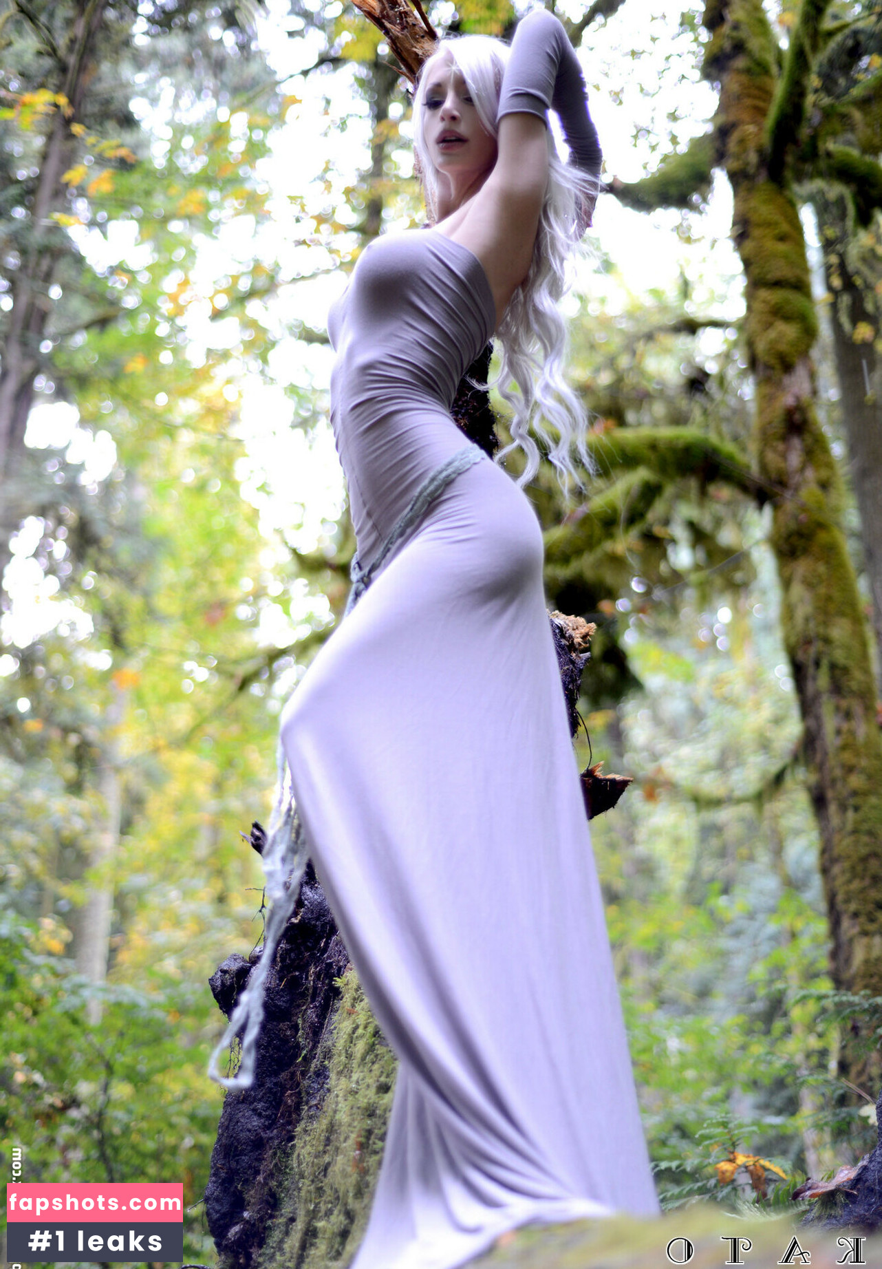 Kato gallery photo #32