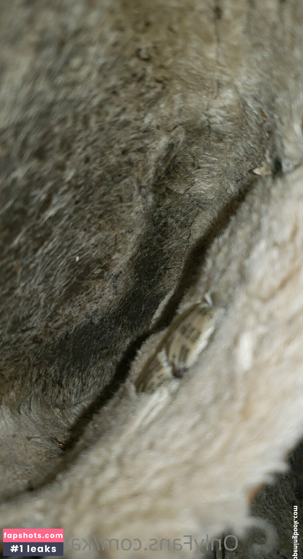 kattiek02 gallery photo #7