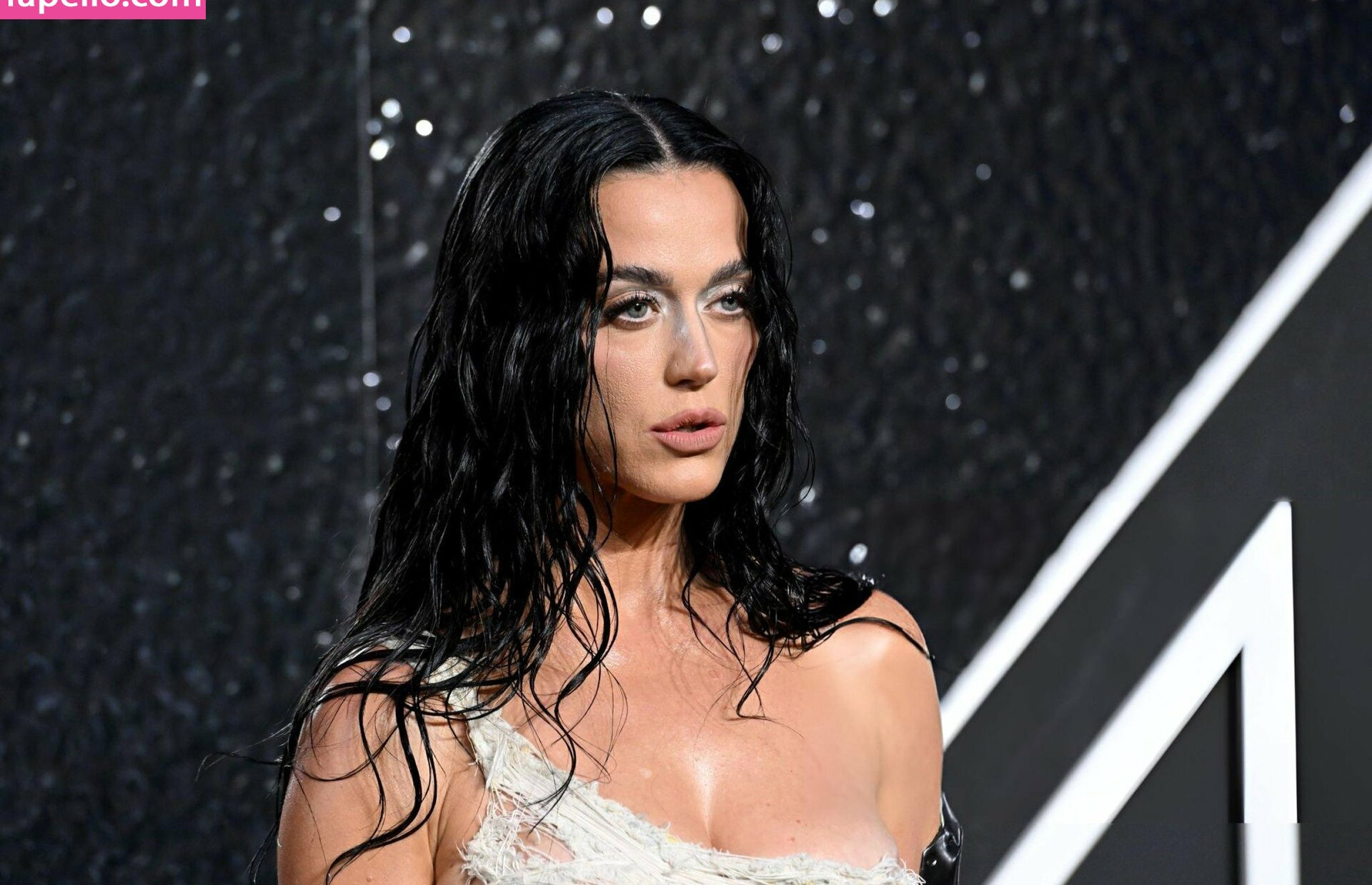 katy-perry-1 Nude Leaks OnlyFans Photos #565 - LeakJerk