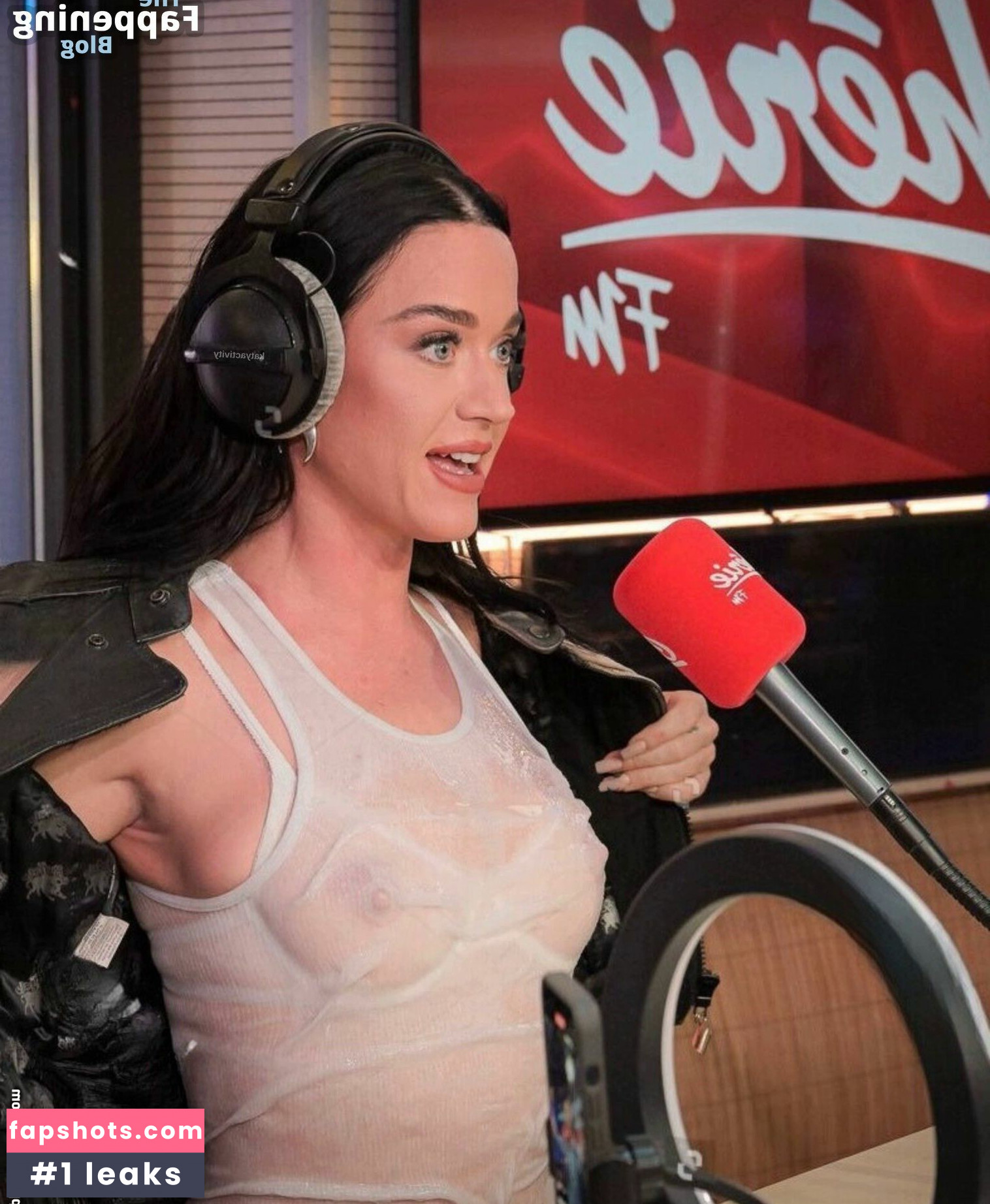 Katy Perry gallery photo #1058